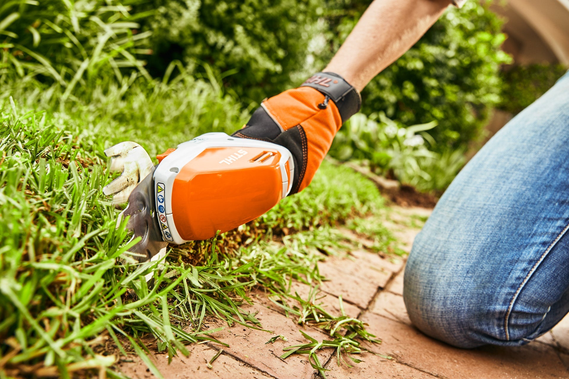 Rasenkante schneiden: Der letzte Schliff für deinen Garten