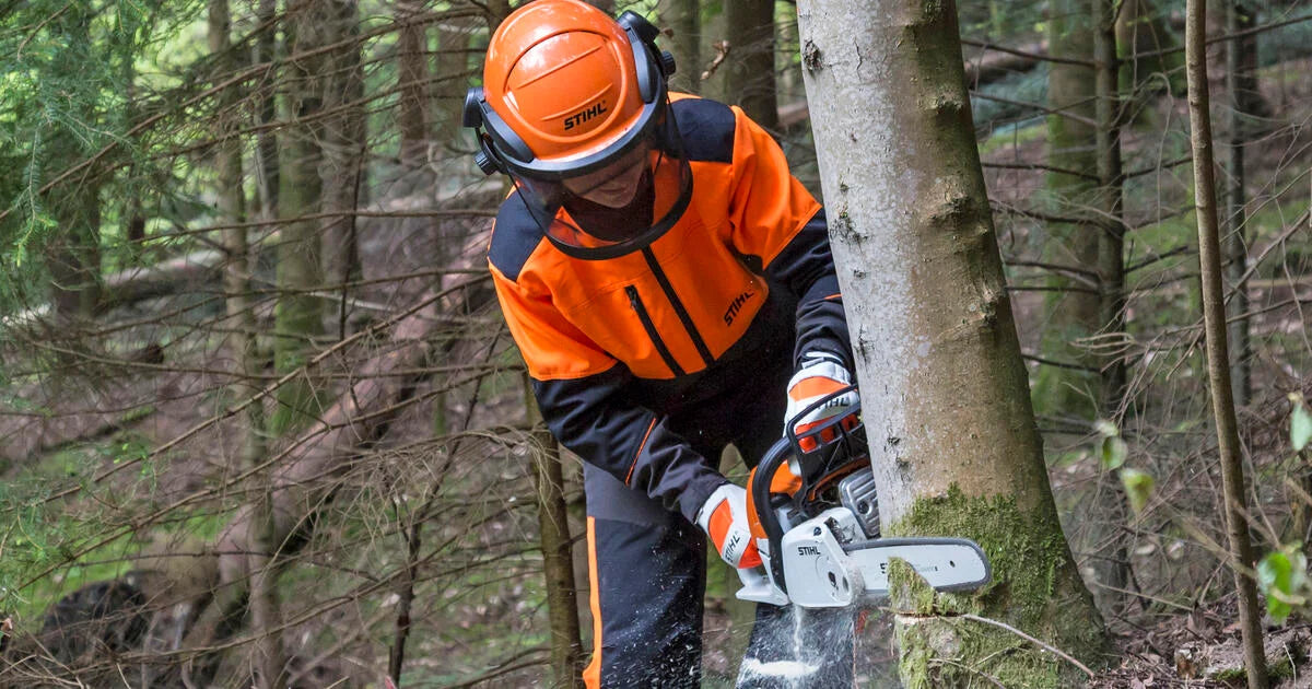 Wann ist eine Baumfäll-Genehmigung nötig?