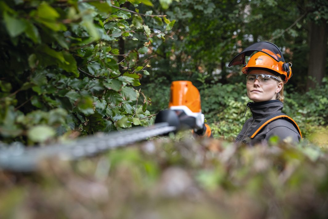 Messerbalken einer Heckenschere wird geschärft