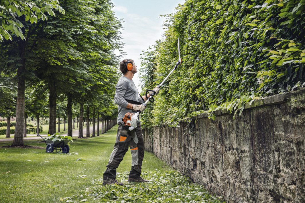 Hecke schneiden: Wann ist es erlaubt – und womit geht's am besten?