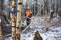 STIHL HTA 150 Akku-Hochentaster Hauptansicht