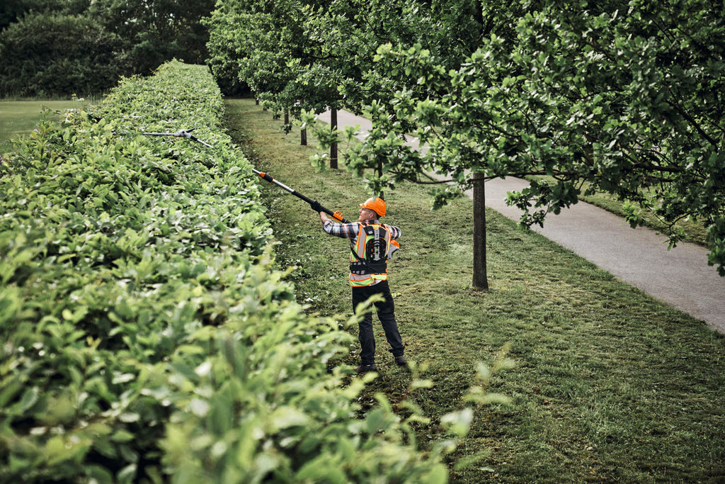 STIHL HLA 150 B Akku-Langheckenschneider im Einsatz