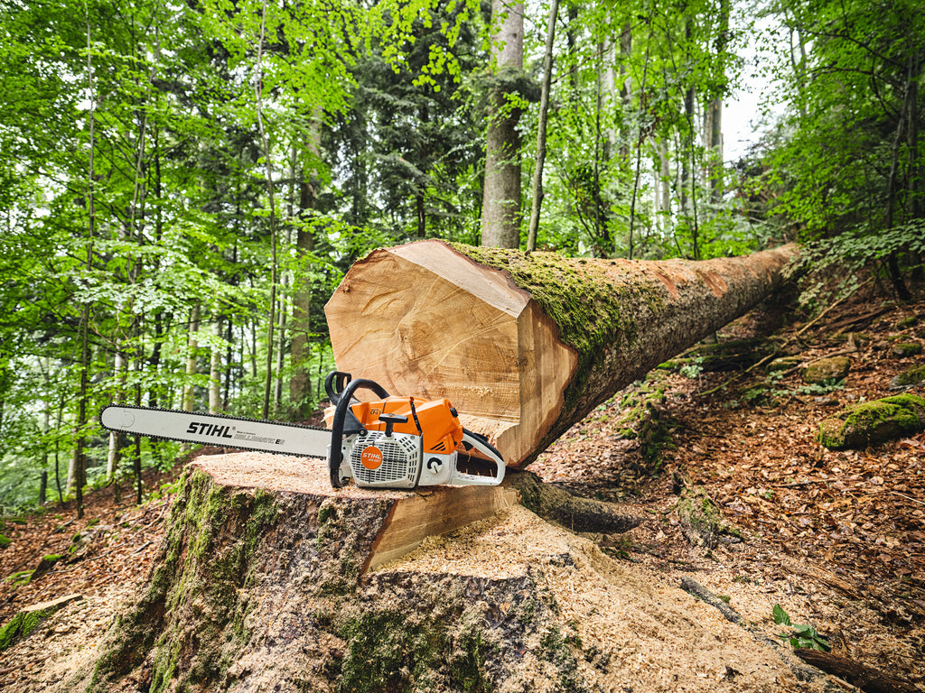 STIHL MS 881 Benzin-Kettensäge im Einsatz