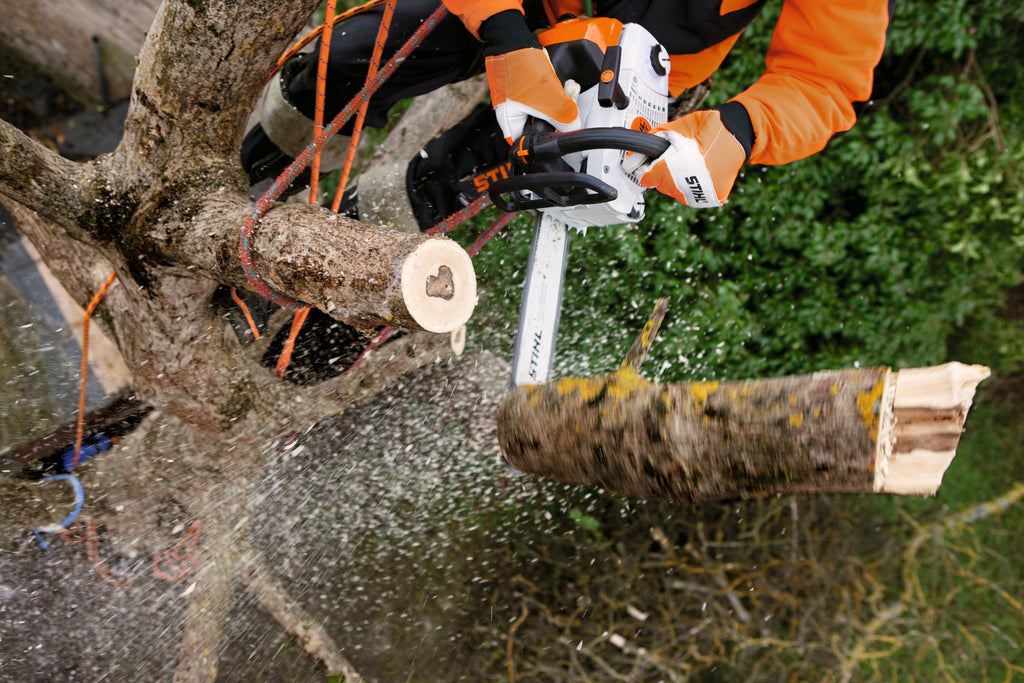 STIHL MS 201 TC-M Benzin-Kettensäge Detailansicht
