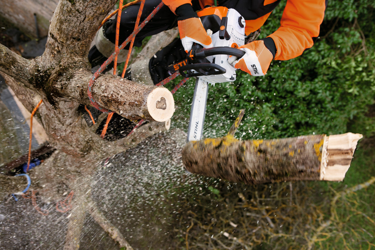 STIHL MS 201 TC-M Benzin-Kettensäge Detailansicht
