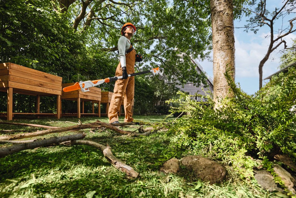 STIHL HTA 30 Akku-Hochentaster